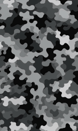 Camoflauge - 5