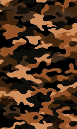 Camoflauge - 8