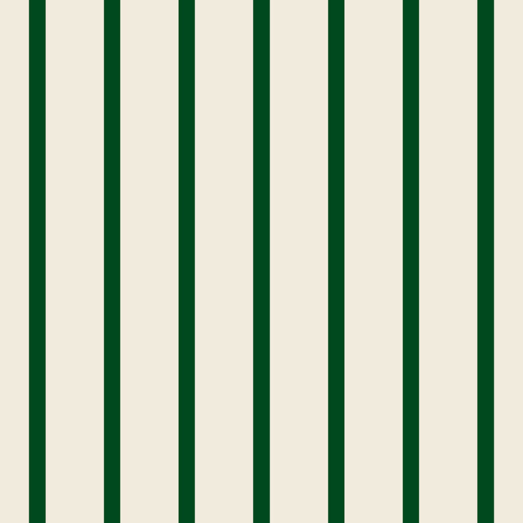 Shirt Stripe