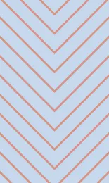 Chevron Fine - Apricot Contrast