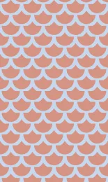 Classic Scallop - Apricot Contrast Rev