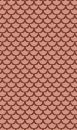 Classic Scallop - Apricot Tonal Small