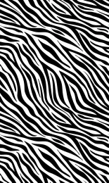 Zebra Stripes
