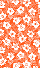 Hibiscus - Orange