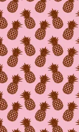 Classic Pineapple - Chocolate Contrast Rev