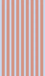 Deck Stripe - Apricot Contrast Rev Small