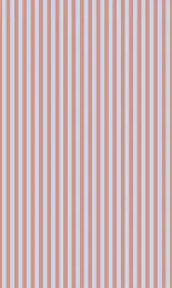 Regatta - Apricot Contrast Small