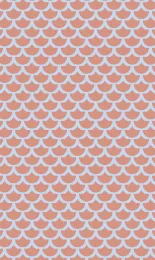Classic Scallop - Apricot Contrast Rev Small