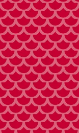 Classic Scallop - Poppy Tonal Rev