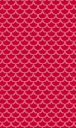 Classic Scallop - Poppy Tonal Rev Small