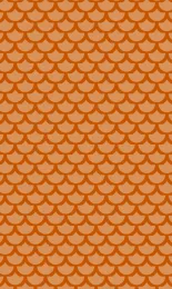 Classic Scallop - Tangerine Tonal Small