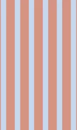 Deck Stripe - Apricot Contrast Rev