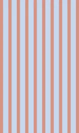 Deck Stripe - Apricot Contrast Small