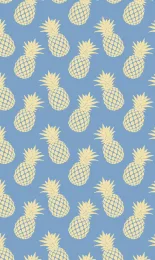 Classic Pineapple - Sky Contrast