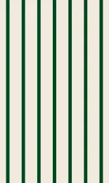 Shirt Stripe