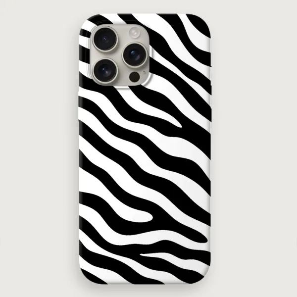 Big Zebra