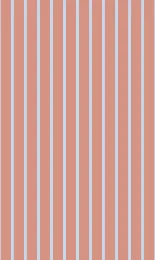 Shirt Stripe - Apricot Contrast Rev Small