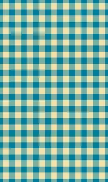 Gingham - Azure Contrast