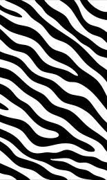 Big Zebra
